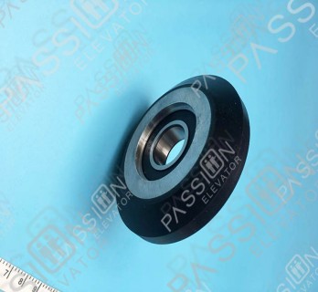 Elevator Guide Wheel 100*25*6205RSR