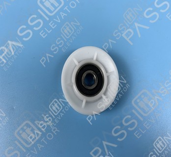 Elevator Door Roller 54*17*6200-2RS