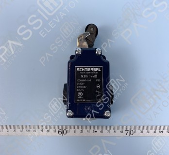 Schmersal Limit Switch TK 015-11y-M20