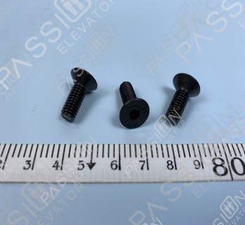 M6 Socket Head Cap Screw M6*14