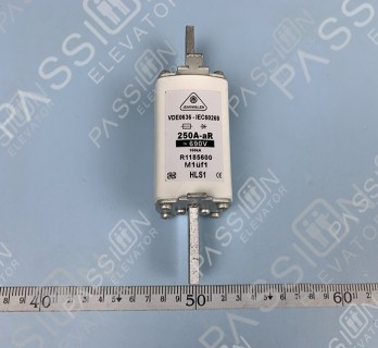 Elevator Fuse VDE0636-IEC60269 250A-aR 690V HLS1