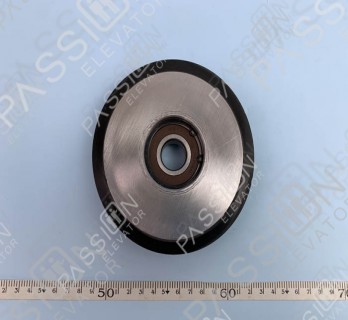 Elevator Guide Roller 125*30*6204