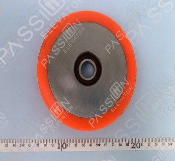 Elevator Guide Roller 125*22*6203