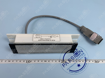 1765452278875883.jpg M-1.jpg